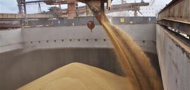 Qazaxıstan Ermənistana ayda 20 min tona qədər taxıl tədarük etməyə hazırdır