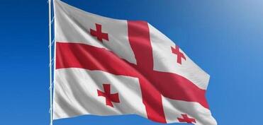 Gürcüstan DİN: Türkiyə təyyarəsinin qəzaya uğraması ilə bağlı istintaq başlanıb