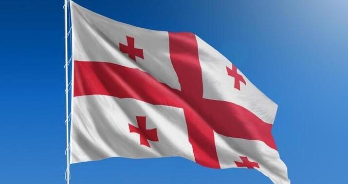 Gürcüstan DİN: Türkiyə təyyarəsinin qəzaya uğraması ilə bağlı istintaq başlanıb