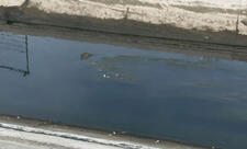 Samur-Abşeron kanalında balıqların tələf olması ilə bağlı araşdırma aparılır