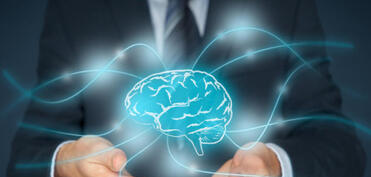 Azərbaycanın əqli mülkiyyət sahəsində dövlət siyasəti örnək göstərildi