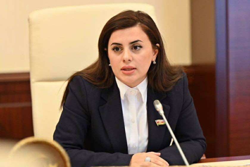 “Azərbaycan Cənubi Qafqaz regionunda ən güclü və çevik ordu sisteminə malik olan dövlətlərdən birinə çevrilib”