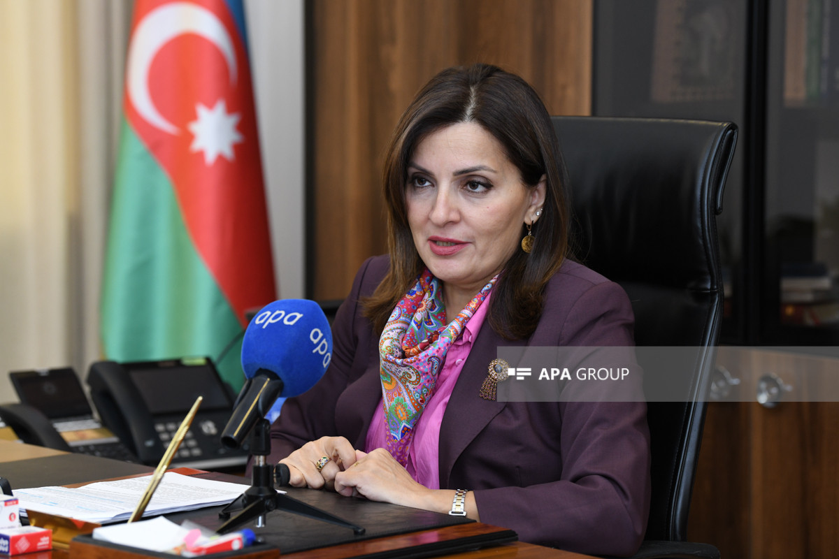 Xidmət rəisi: Azad edilmiş ərazilərdə 155 abidənin inventarlaşdırılması mümkün olmayıb