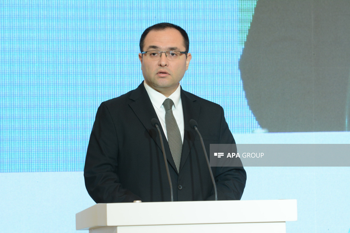 Nazir: Hazırda ölkədə bir təsərrüfata düşən sahə ilə fermerin ailəsini təmin etməsi mümkün deyil