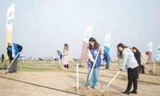 Türkiyənin "Gələcəyə nəfəs!" çağırışı ilə Azərbaycanda 111 min 111 ağac əkilib