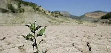 Qərbi Azərbaycan əyalətində quraqlıq artıb