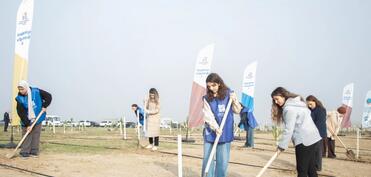 Türkiyənin "Gələcəyə nəfəs!" çağırışı ilə Azərbaycanda 111 min 111 ağac əkilib