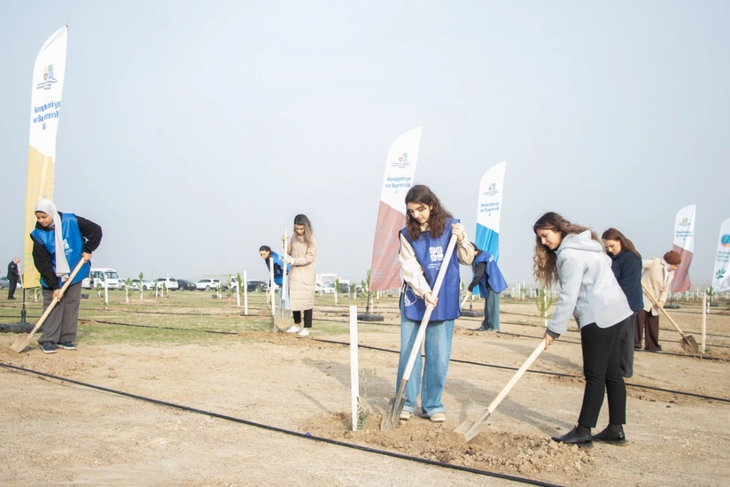 Türkiyənin "Gələcəyə nəfəs!" çağırışı ilə Azərbaycanda 111 min 111 ağac əkilib