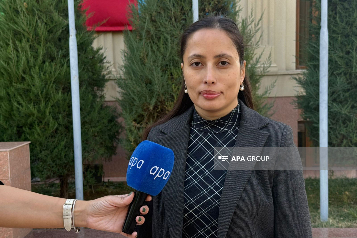 Mərkəz rəhbəri: Orta Dəhlizlə bağlı prosesdə Azərbaycan lider rolunu oynayır