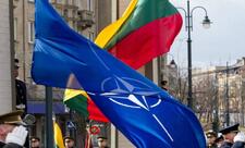 Litva NATO-dan zenit qaçaqmalçılığı qrupu yaratmağı xahiş edib