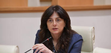 Komitə sədri: Gürcüstan Azərbaycanla Ermənistan arasında sülh irəliləyişini alqışlayır