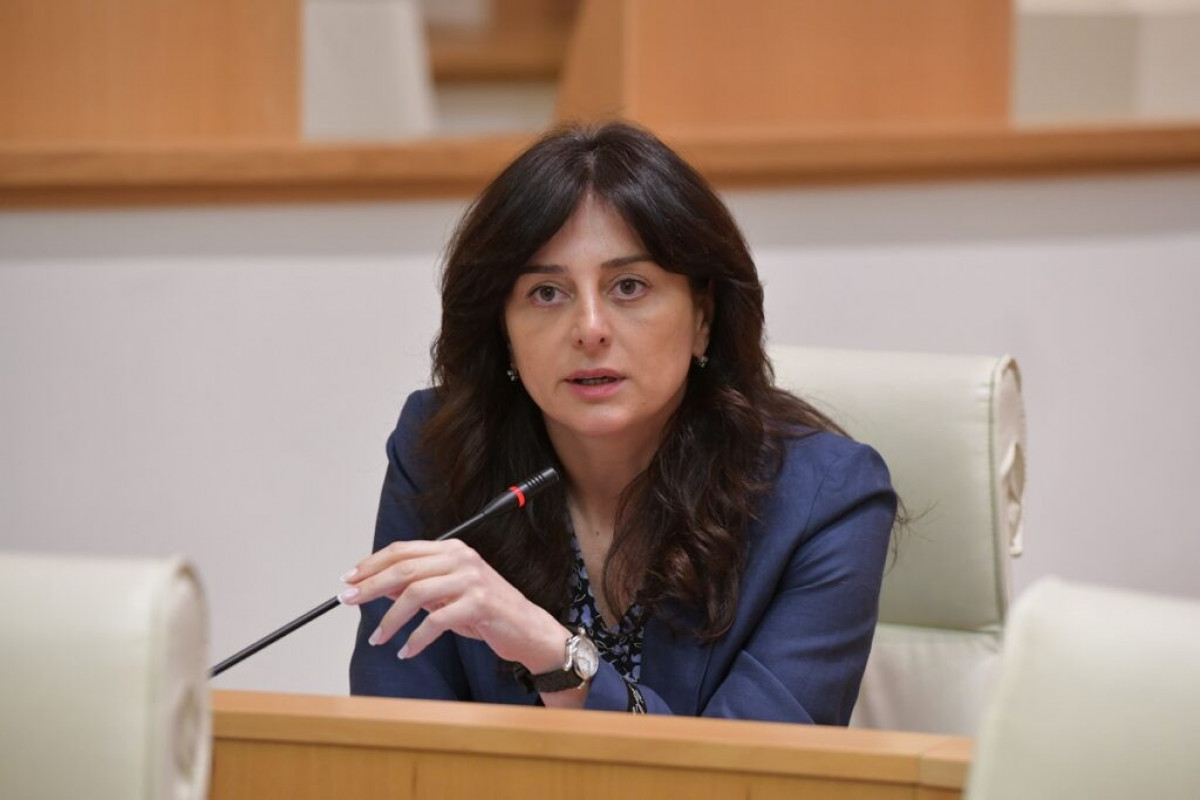 Komitə sədri: Gürcüstan Azərbaycanla Ermənistan arasında sülh irəliləyişini alqışlayır