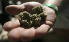 Bu il 185 milyon manatlıq narkotik dövriyyədən çıxarılıb