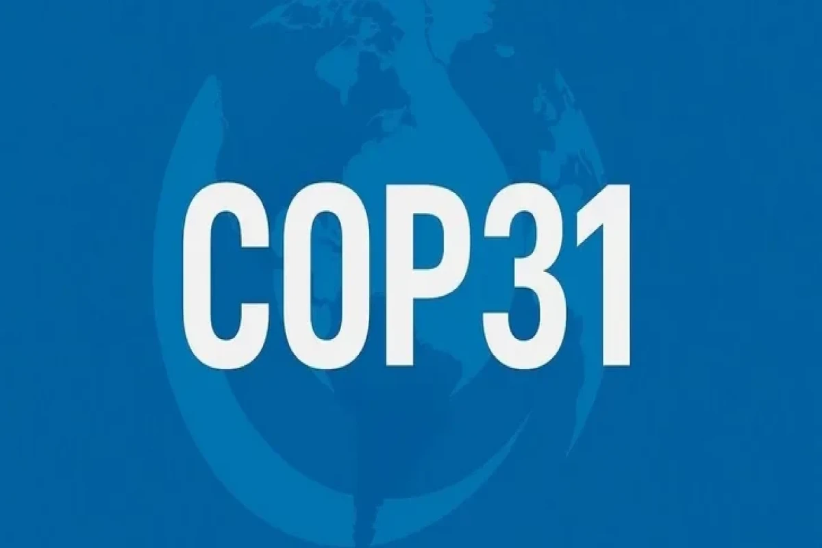 COP31-lə bağlı vacib missiyalar Azərbaycana həvalə olunub