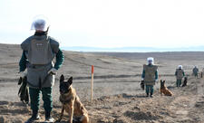 Azərbaycan 240 min hektardan çox ərazini minalardan təmizləyib