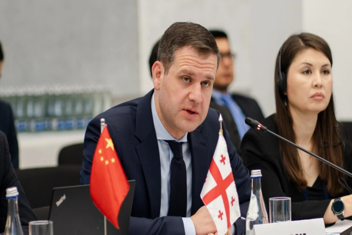 Nazir müavini: BTQ Gürcüstanı qlobal əhəmiyyətli logistika qovşağına çevirib