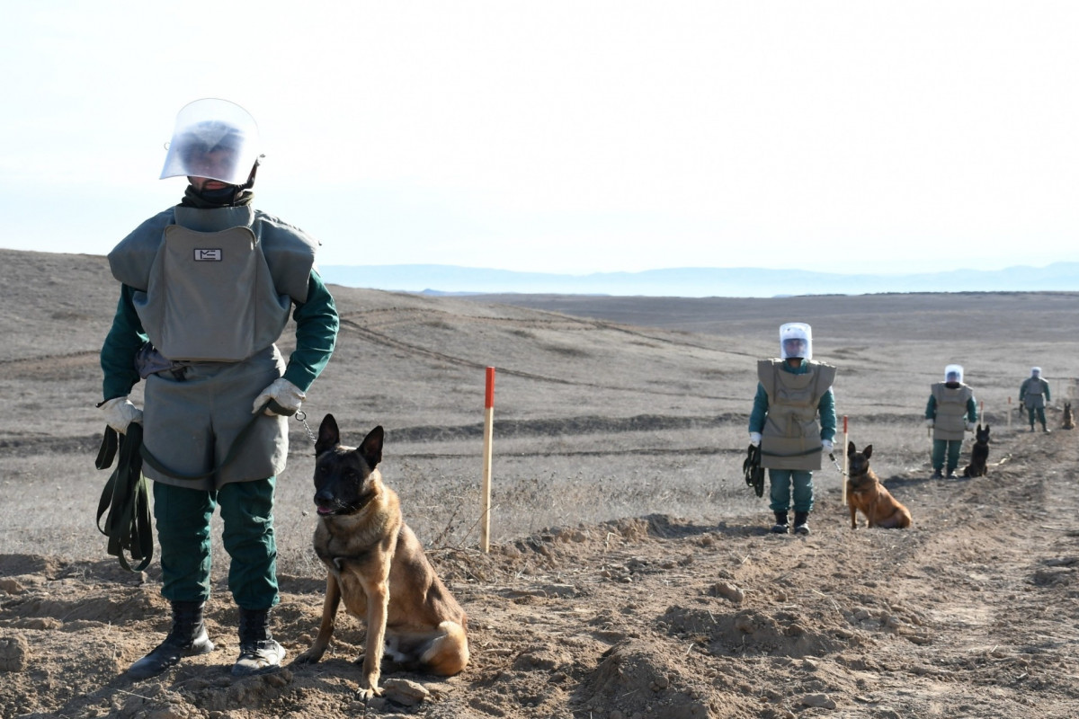 Azərbaycan 240 min hektardan çox ərazini minalardan təmizləyib