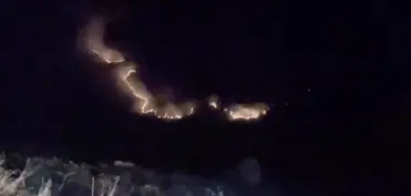 Şərqi Azərbaycanda meşə yanğını genişlənib