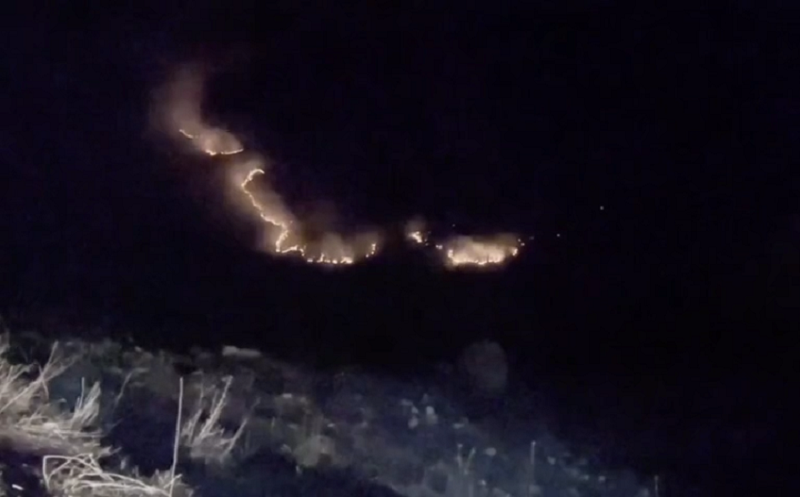 Şərqi Azərbaycanda meşə yanğını genişlənib