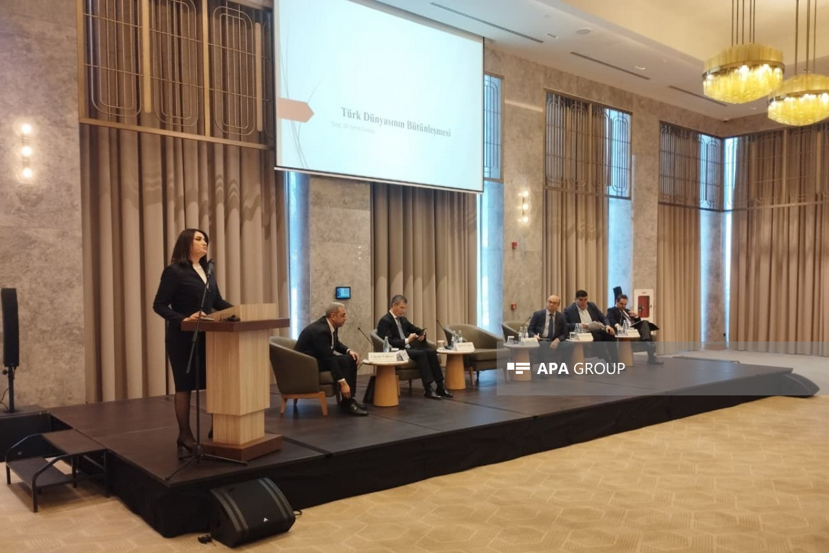 İnstitut direktoru: Azərbaycan–Türkiyə hərbi əməkdaşlığı strateji səviyyəyə yüksəlir