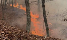 Ermənistanda genişmiqyaslı yanğın Tavuş istiqamətinə yayılıb, helikopterlər cəlb olunub