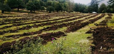 Əkin mövsümü bitir: real vəziyyət problem və perspektivlər nədən ibarətdir?