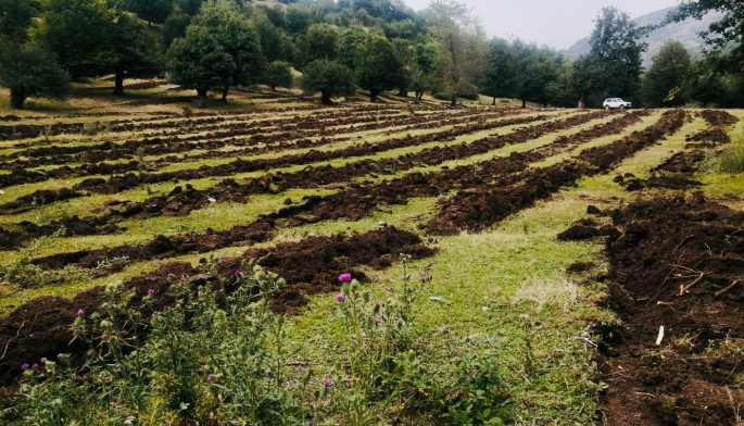 Əkin mövsümü bitir: real vəziyyət problem və perspektivlər nədən ibarətdir?