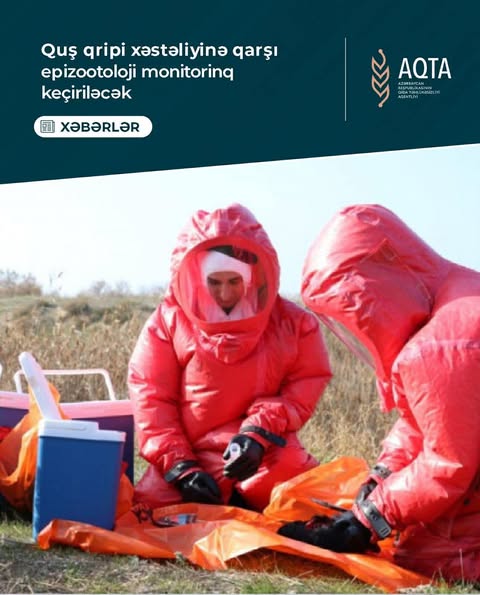 Quş qripinə qarşı epizootoloji monitorinq keçiriləcək - VİDEO