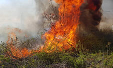 Baksol yolunda məişət tullantıları yığılmış ərazi yanır