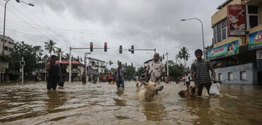 Şri-Lankada "Ditva" qasırğası azı 56 nəfərin həyatına son qoyub
