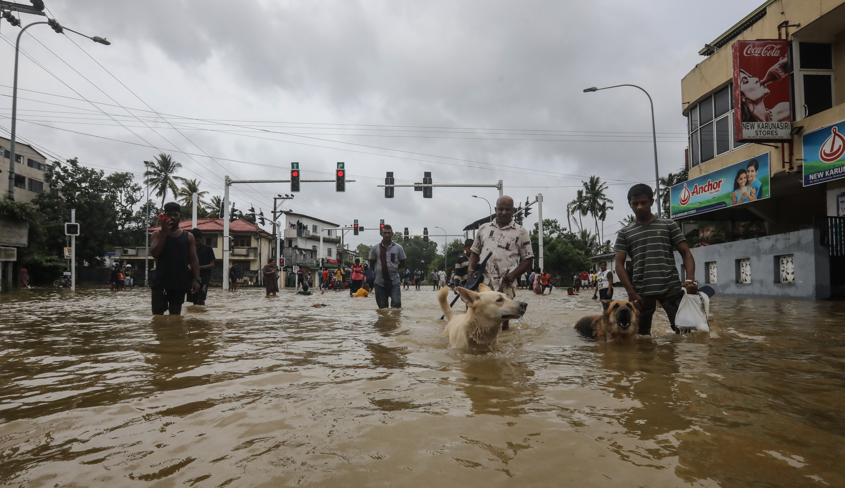 Şri-Lankada "Ditva" qasırğası azı 56 nəfərin həyatına son qoyub