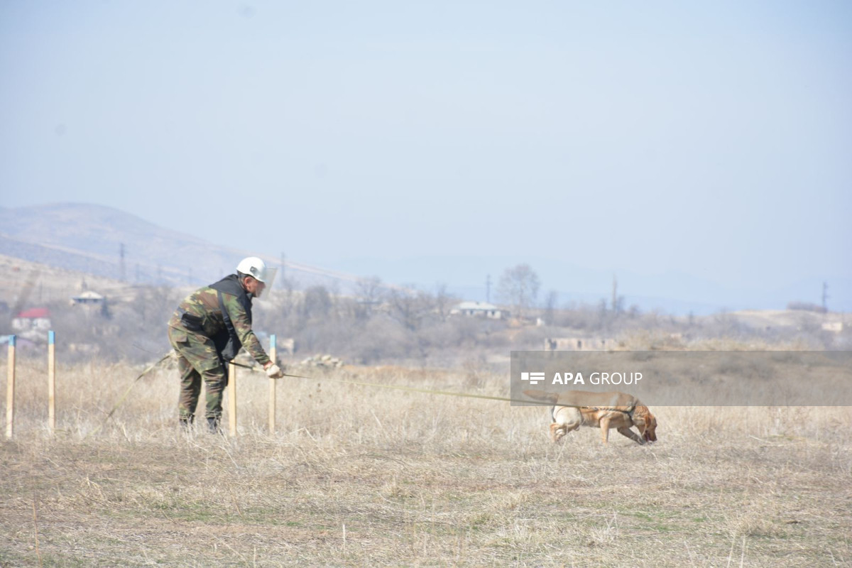 Minatəmizləyənlərə təlimlərin keçirilməsi Qaydası təsdiqlənib