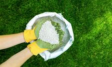 Azərbaycanda gübrə istehsalı artıb