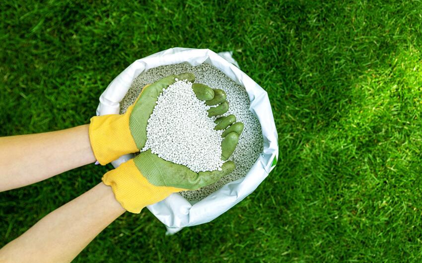 Azərbaycanda gübrə istehsalı artıb