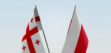 Polşa Gürcüstan vətəndaşlarına sadələşdirilmiş iş vizasının verilməsini dayandırıb