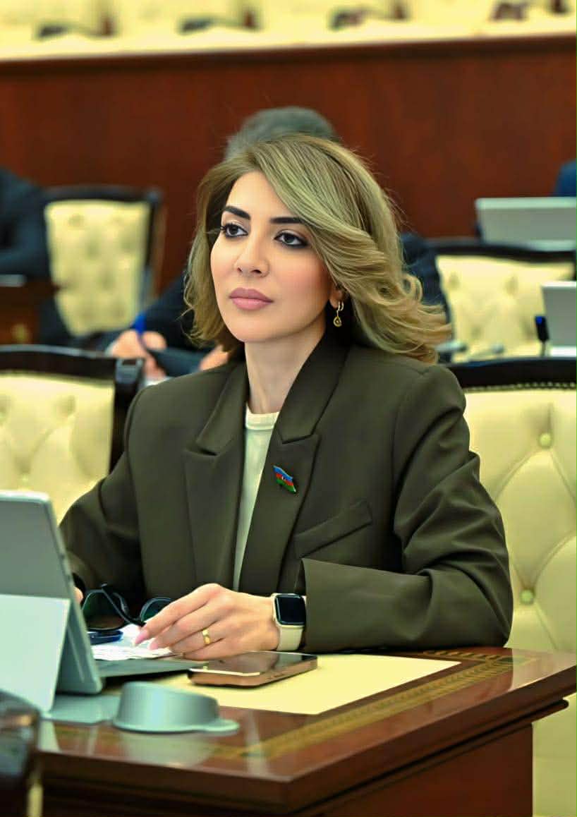 “Qahirədəki görüş ölkəmizin iqtisadi diplomatiyada yeni nüfuz dairəsinin başlanğıc nöqtəsi olacaq”