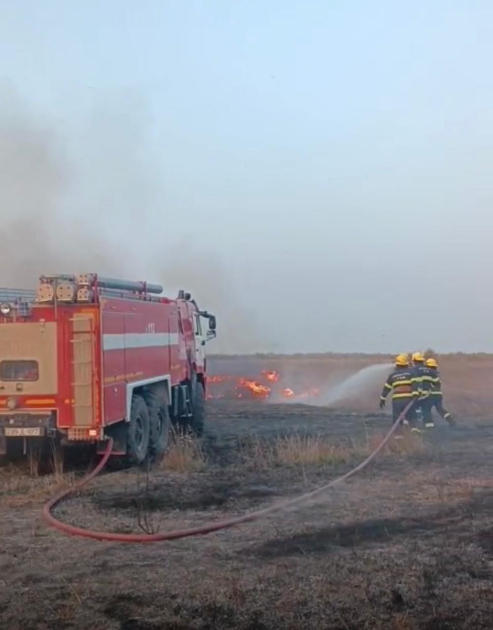 Cəlilabadda açıq ərazidə baş vermiş yanğın söndürülüb