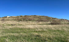 Azad edilmiş ərazilərdə daha 25 abidə inventarlaşdırılıb