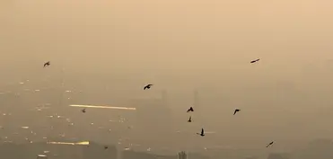 Şərqi Azərbaycan əyalətinin dörd rayonunda hava çirkliliyinə görə məktəblər bağlanıb