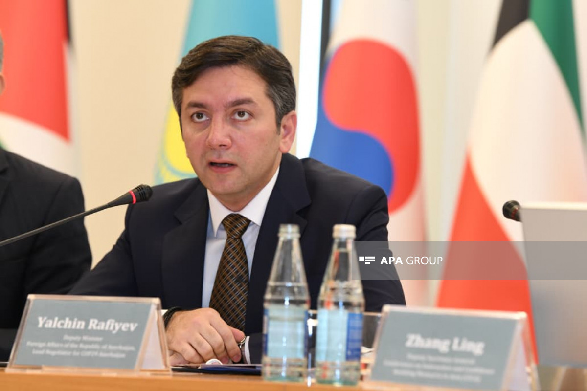 Yalçın Rəfiyev: Azərbaycan AQEM-in inkişafına bundan sonra da töhfə verəcək