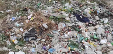 Torpağın çirkləndirilməsinə qarşı ciddi tədbirlər görülməlidir