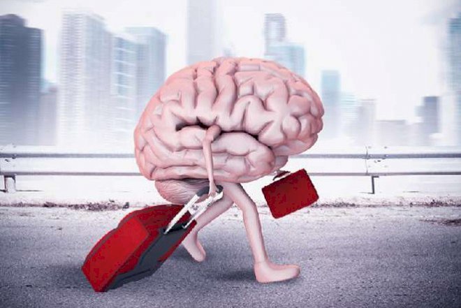 Azərbaycanda beyin köçü: səbəblər nədir?