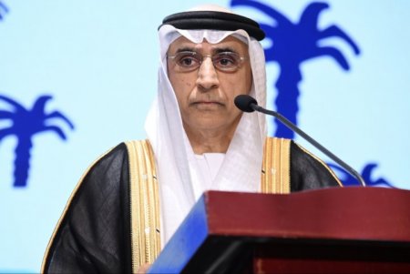 Səfir: BƏƏ–Azərbaycan əlaqələri iki dost ölkə arasında möhkəm dostluğu əks etdirir