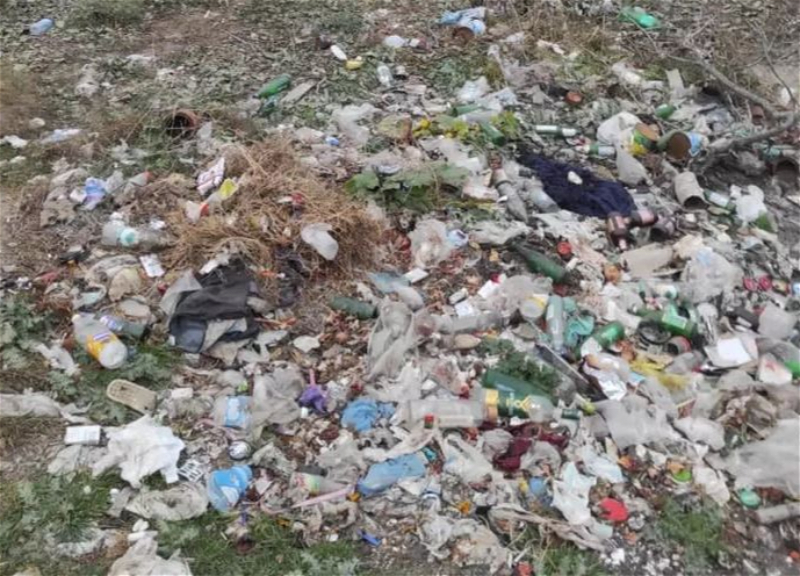 Torpağın çirkləndirilməsinə qarşı ciddi tədbirlər görülməlidir