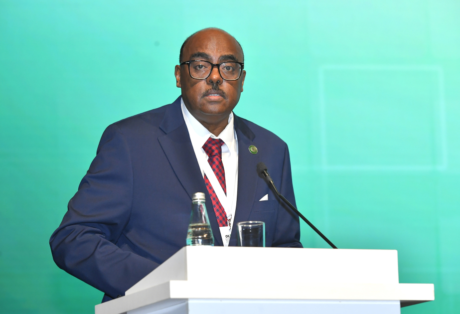 İƏT-in Baş katibinin müavini: Bu gün Bakı İslam dünyasının yaradıcı ruhunu birləşdirən paytaxtlardan biri kimi çıxış edir