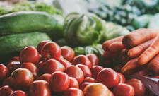 Bitkiçilik məhsullarına karantin və fitosanitar sertifikatlarının verilməsi qaydası müəyyənləşib