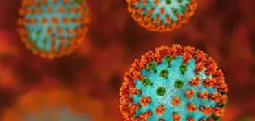 İranda yeni qrip növü- Qərbi Azərbaycanda məktəblər bağlandı