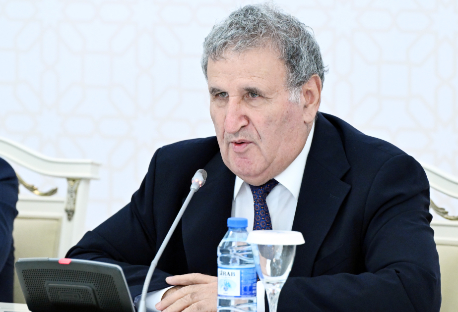 AMEA rəhbəri: Prezidentin dövlət dilimizlə bağlı səsləndirdiyi fikirlər akademik qurumlar qarşısında mühüm vəzifələr qoyur