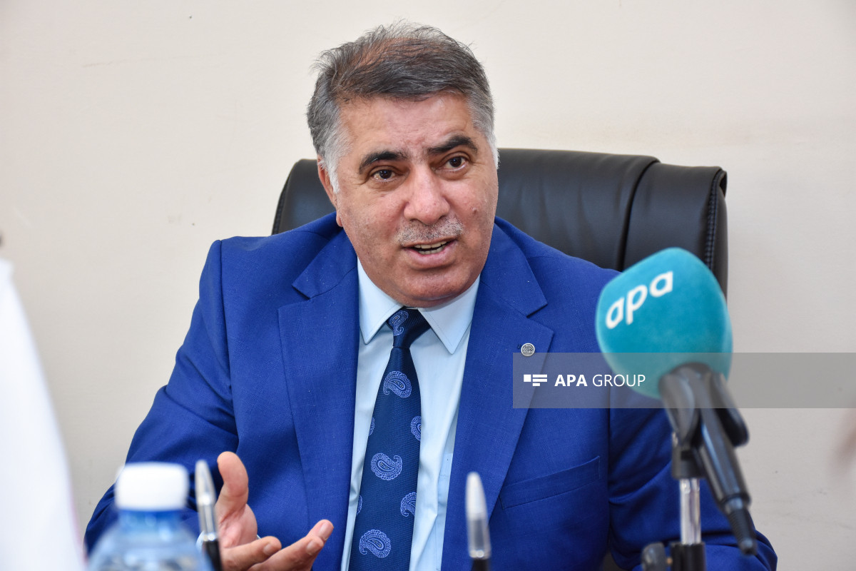 Nadir Məmmədli: Azərbaycan dilinin tərcümə alqoritmləri yaradılmalıdır