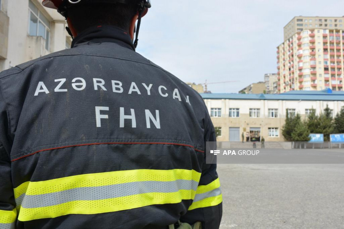 FHN "Dəmirçi Plaza"da təlim keçirəcək